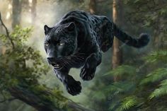 panther names