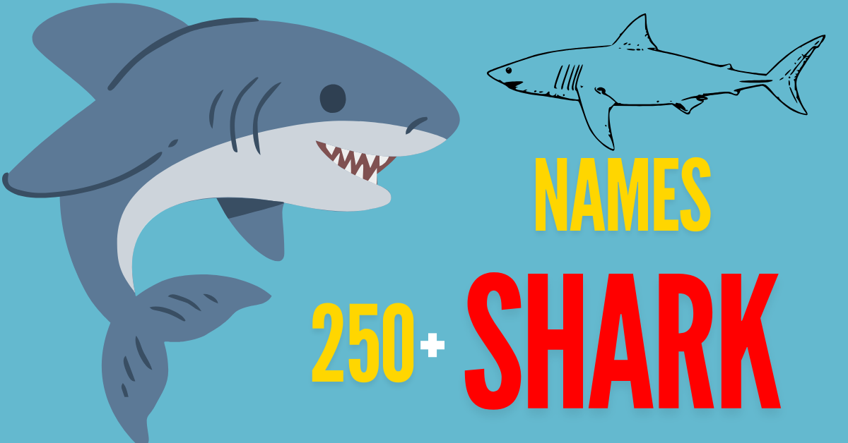 250+ Unique Shark Names: Your Ultimate Guide