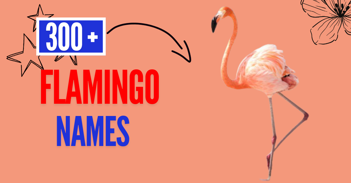 300+ Unique Flamingo Names: Meaningful Ideas for Your Feathered Friend