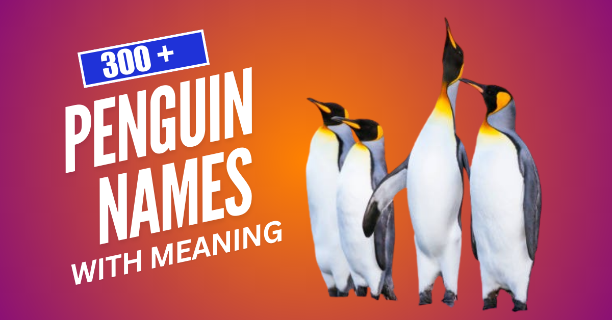 Cute Penguin Names Galore: 300+ Ideas