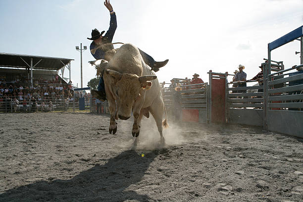 Unique Bull Names