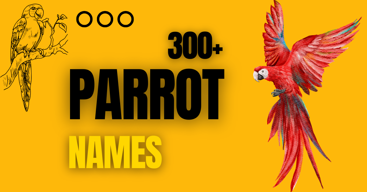 300+ Best Parrot Names: Ideas and Meanings for Your Feathered Friend