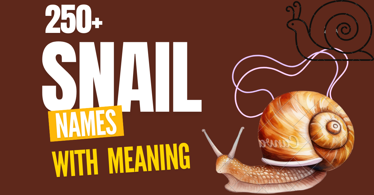 250+ Creative Snail Names: A Comprehensive Guide to Naming Your Slimy Friend