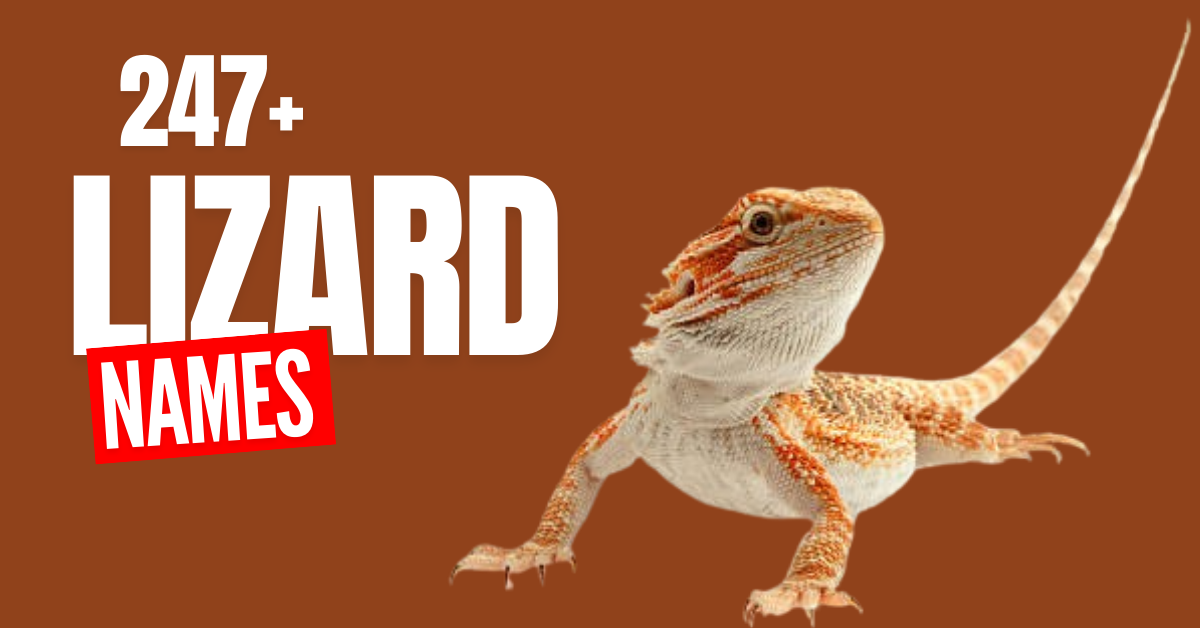 247+ Unique Lizard Names: Find the Perfect Name for Your Reptilian Friend