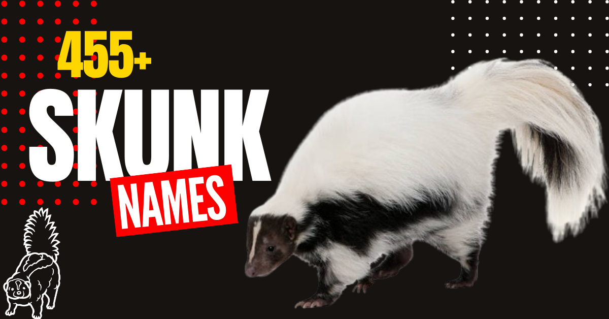 455+ Unique and Cute Skunk Names with Meaning