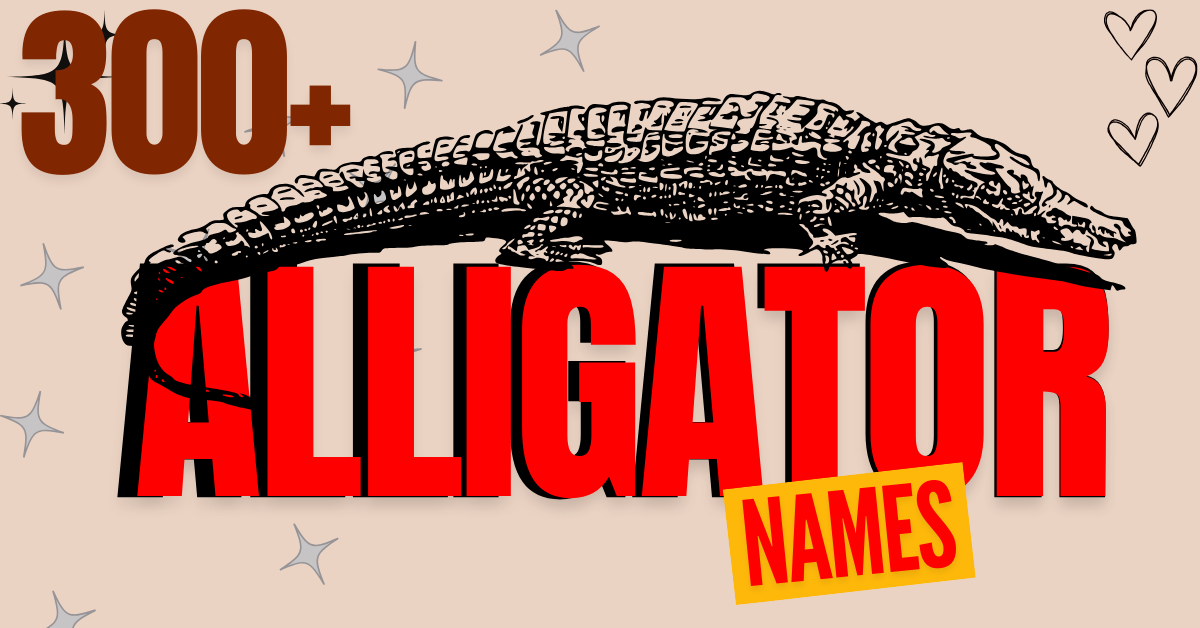 300+ Cool & Alligator Names: Unique, Funny, and Badass Options