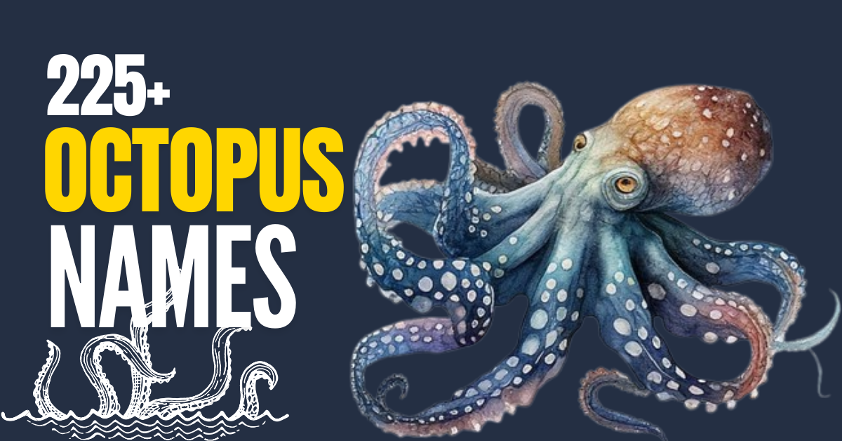 225+ Adorable and Hilarious Names for Your Octopus: A Complete Guide