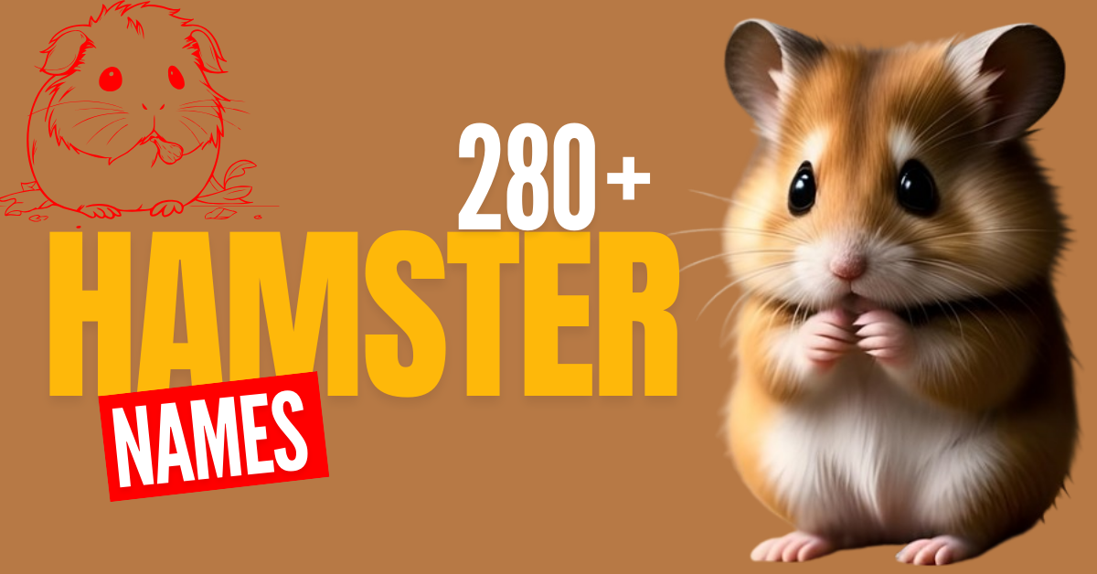 280+ Unique and Adorable Hamster Names with Meanings