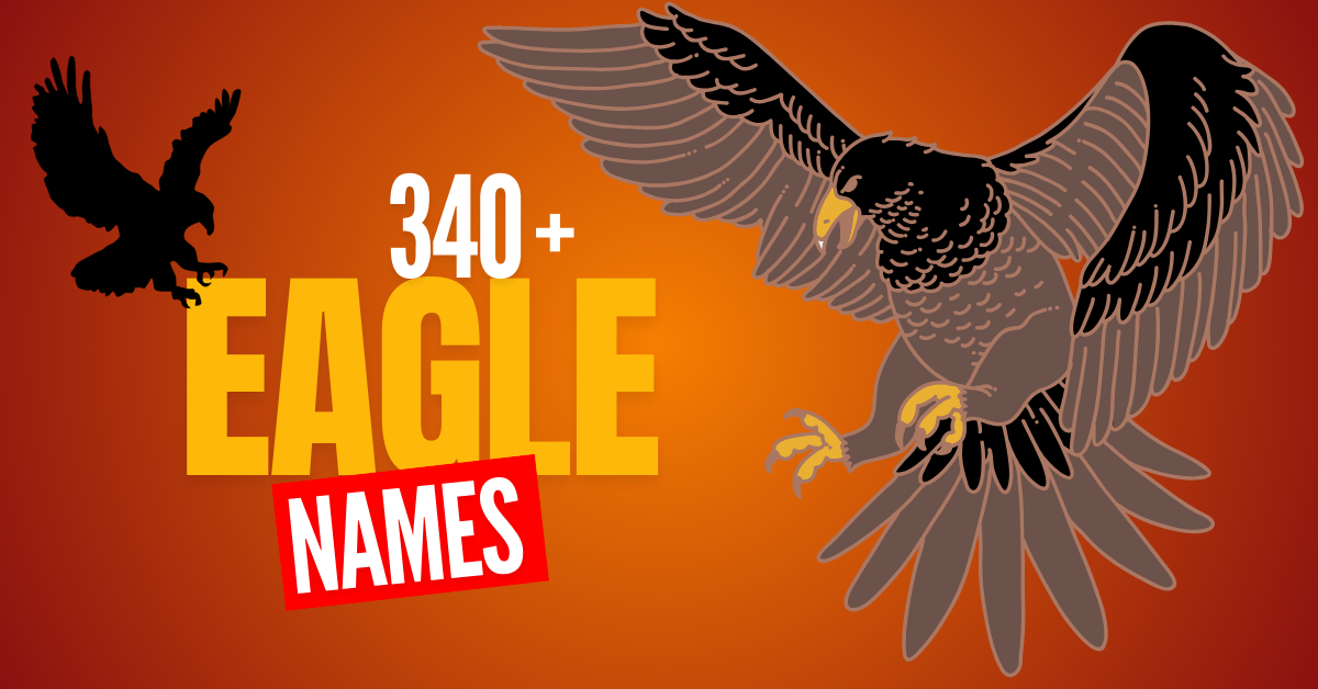 340+ Eagle Names: Meanings and Inspiration