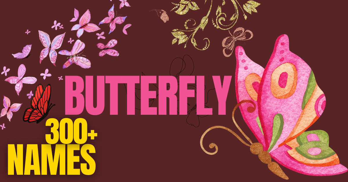 300+ Butterfly Names: Creative and Unique Ideas for Your Winged Friend