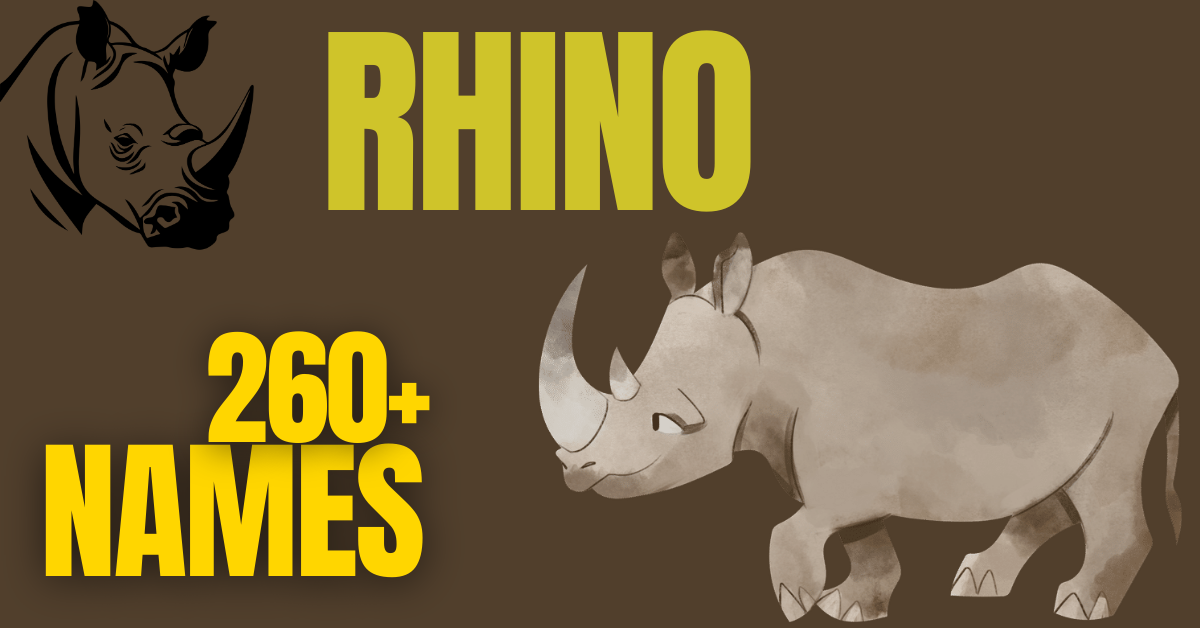 260+ Funny & Unique Rhino Names 