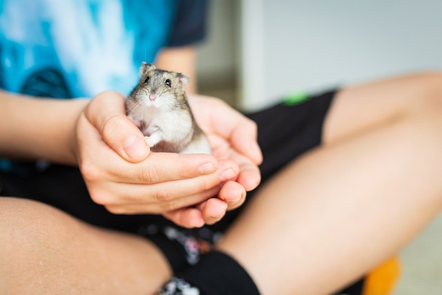 Female Hamster Names