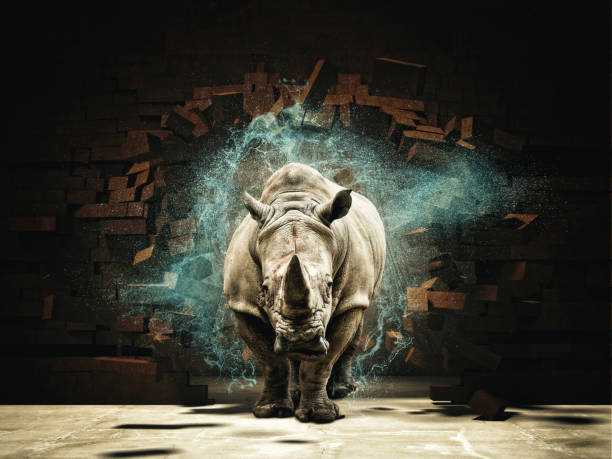 Mythical and Creative Rhino Names