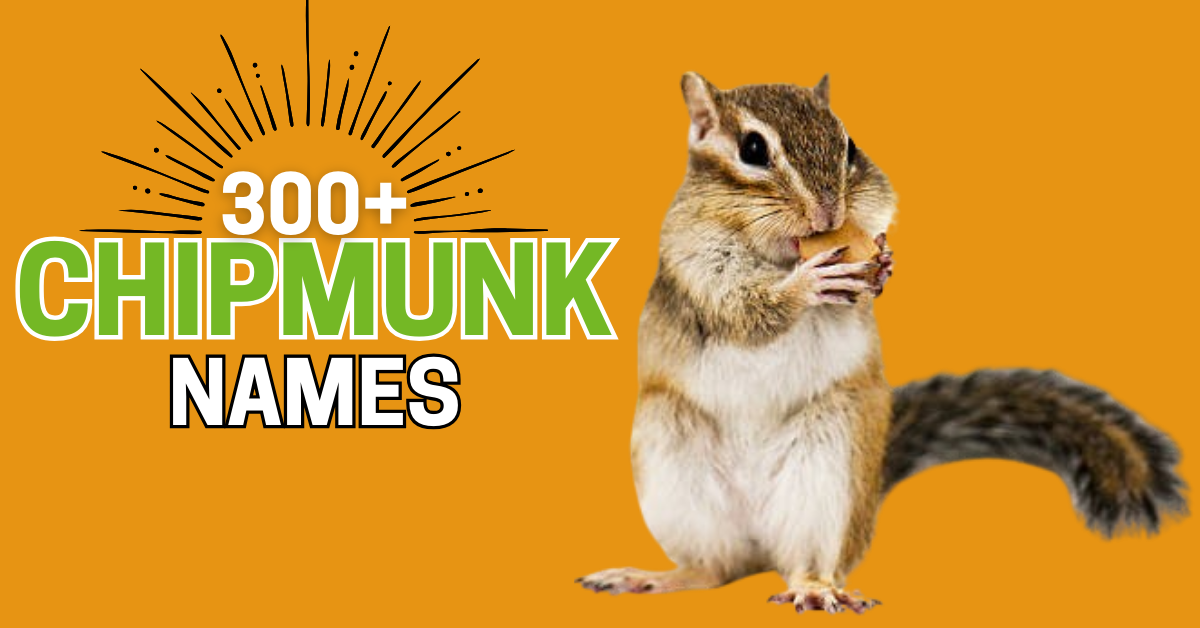 270+ Chipmunk Names: Ideas for Every Personality