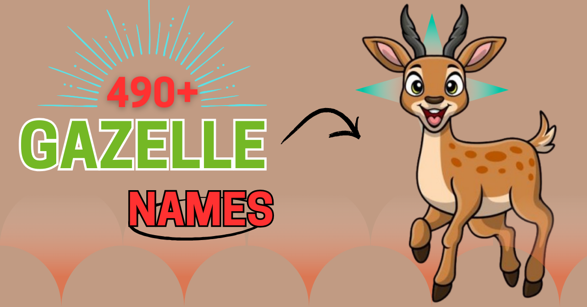 490+ Gazelle Names: Unique and Meaningful Ideas