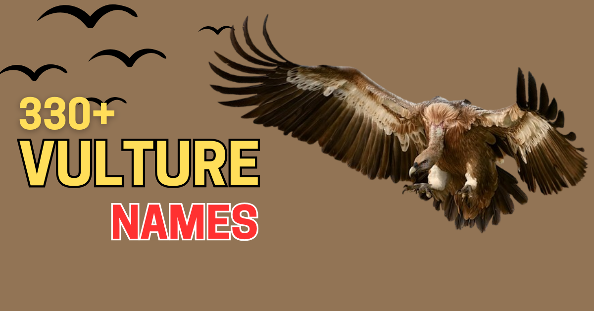 330+ Vulture Names and Their Meanings