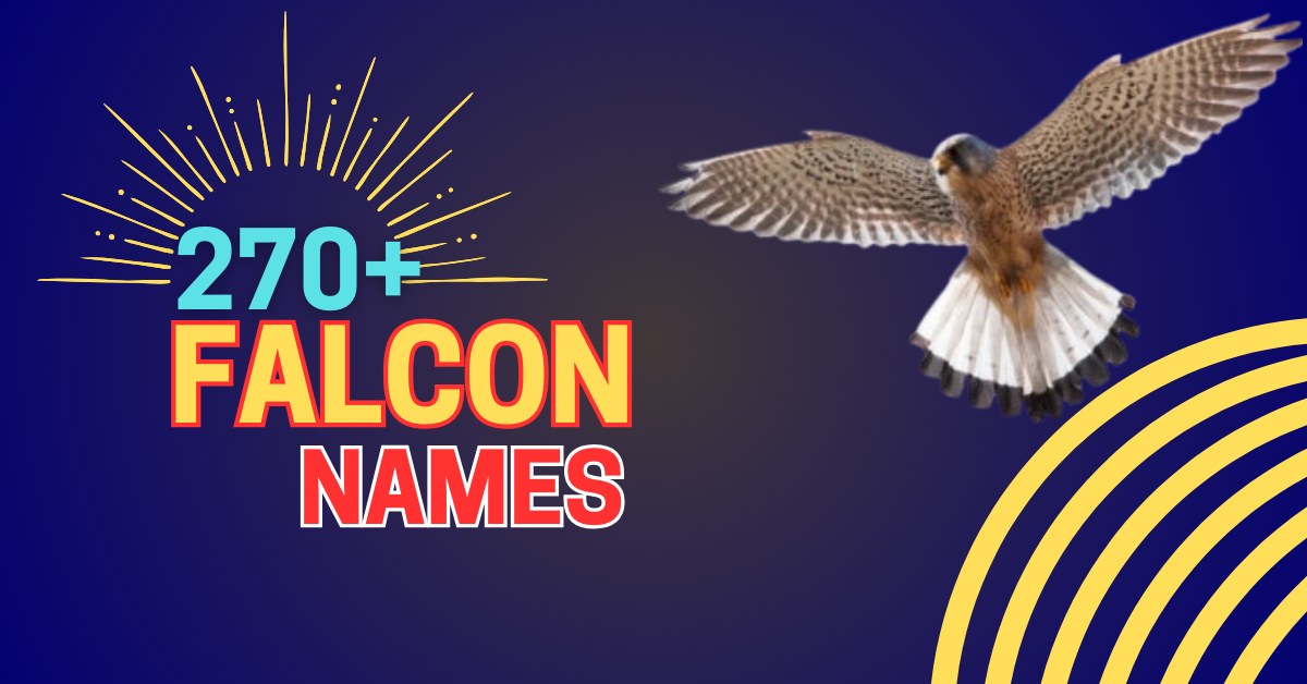 270+ Falcon Names: A Complete Guide with an AI Name Generator