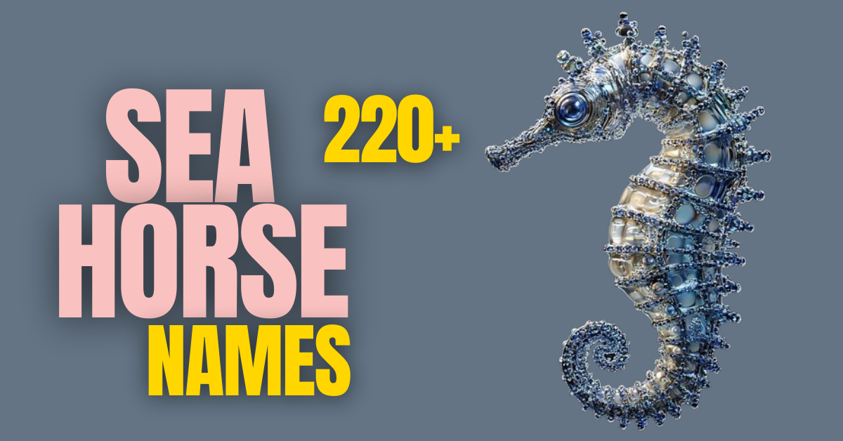 220+ Seahorse Names: Unique, Meaningful, and Fun