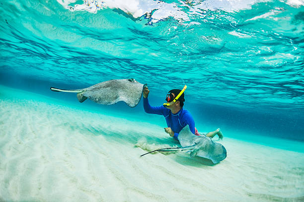 Famous Stingray Names